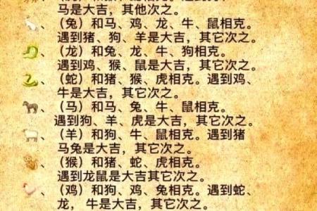 兔跟什么生肖配对最好 生肖兔最佳配对