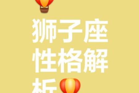 狮子星座QQ皮肤-个性化你的QQ聊天框架