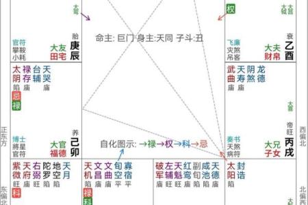 紫薇斗数疾恶化忌