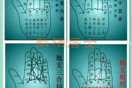 八字合婚适合工作，如何选专业？