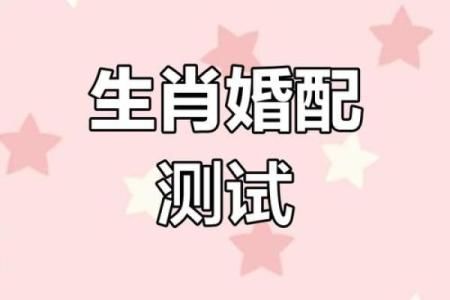 猪的生肖配对