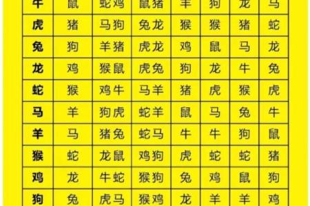 属鸡和什么属相最配对 属鸡和什么属相相冲