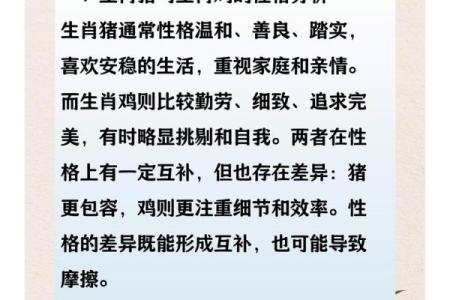 猪跟什么生肖配对最好 生肖猪最佳配对