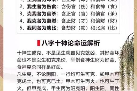 姓名算命免费测试 姓名算命免费测试五行