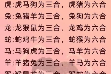 十二生肖婚配大全表 12生肖婚姻最佳配对表图片