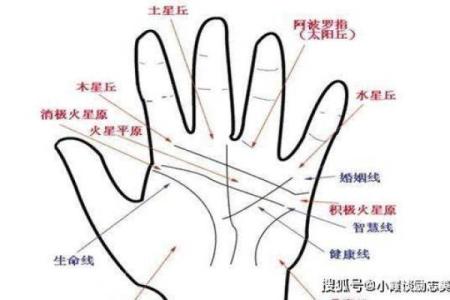 财运线是哪一条？财运线算命图解