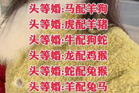 生肖配对是什么-合婚时生肖配对有多大影响