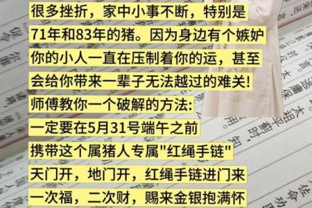 1983年属猪的婚配 1983年属猪的人应该和哪些生肖的人结婚配对
