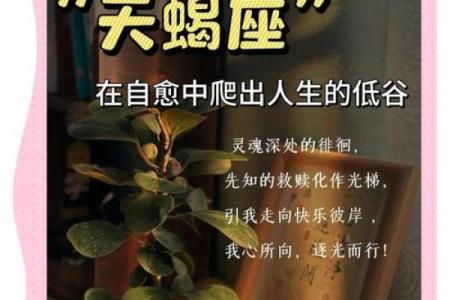 唯一能读懂天蝎的星座