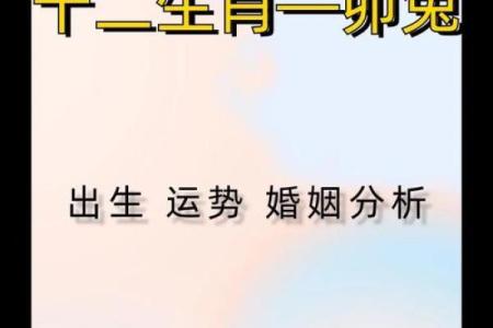 属兔的富豪出生在几月 属兔大富大贵的吉日出生