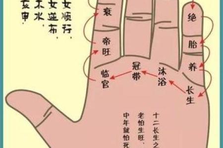怎么用手算命