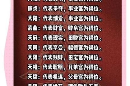 紫微斗数之子女宫与诸星，武曲星在子女宫是什么意思？