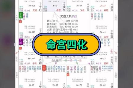 紫微斗数之诸星落命宫参断