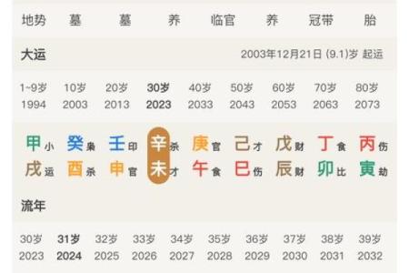 八字看事业
