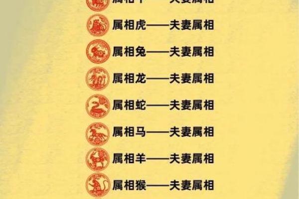 龙的生肖配对什么生肖最好