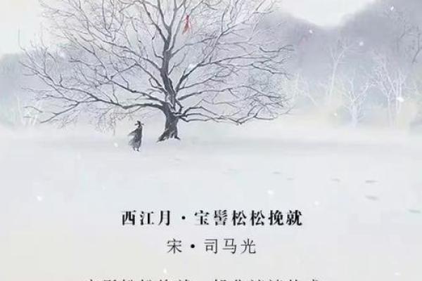寻找有情人姓名配对 寻找有情人的诗句？