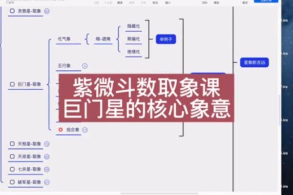 紫薇斗数里的巨门星啥意思