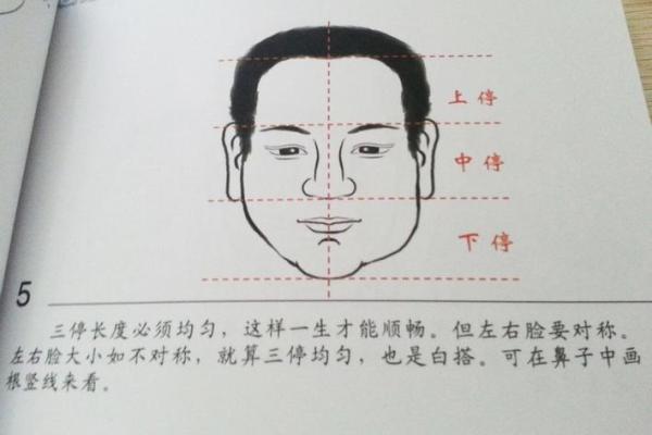 面相算命入门什么是三停 面相基础知识