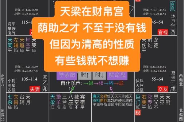紫薇斗数流禄