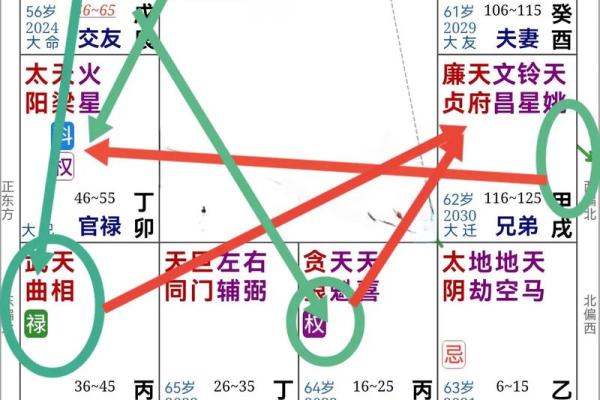 紫薇斗数杨老师