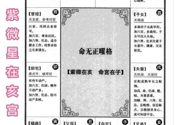 赵雅芝紫薇斗数