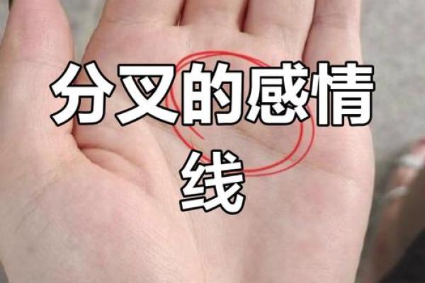 手相风水：爱情线怎么看有几段感情