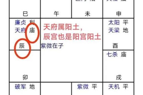 紫薇命盘免费算命