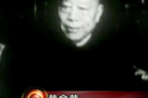 黄金荣紫薇斗数