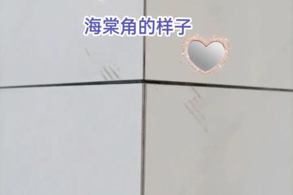 瓷砖八字角