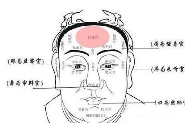 额头胎记算命图解