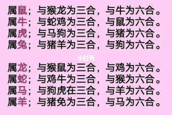 十二属相生肖配对姻缘查询