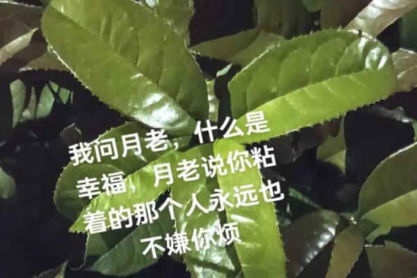 月老对你的姻缘说说短句 月老自己的姻缘？