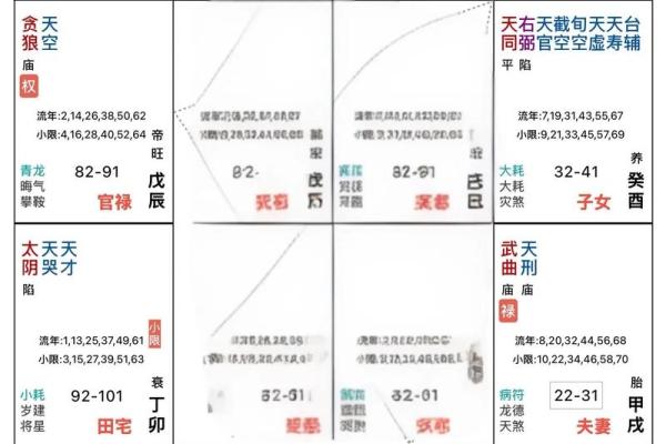 手机下载紫薇斗数