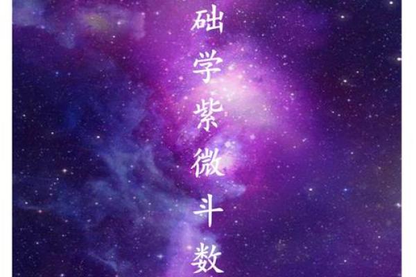 手机下载紫薇斗数