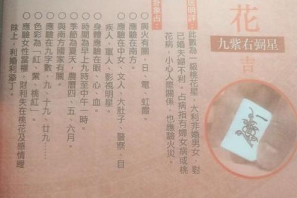 李居明算命视频