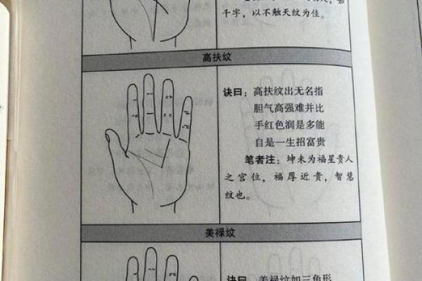 免费拍照看手相算命在线