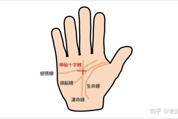 免费拍照看手相算命在线