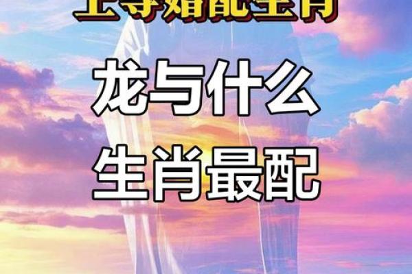 属龙的跟属龙的结婚属上等婚吗 配对要注意什么