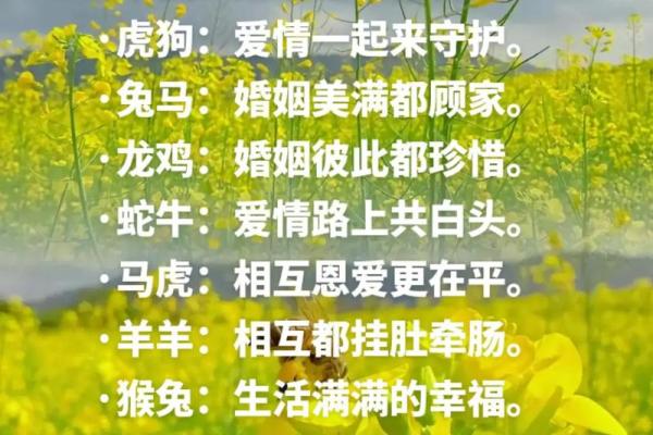 最佳的十二生肖婚姻配对大全