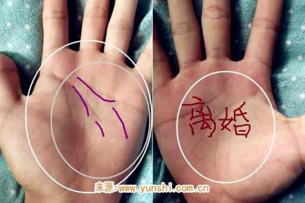 八字看婚姻线和命运线图解