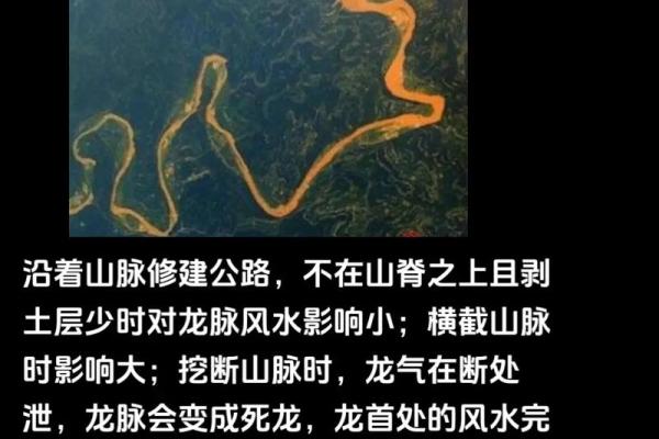风水房子在龙肚子好吗