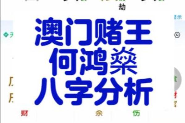 何鸿燊八字