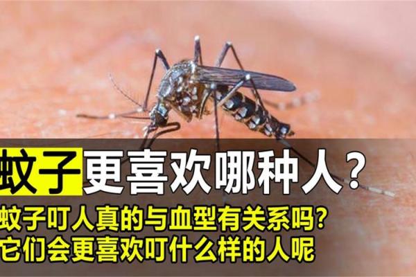 血型人创业要稳当谨慎
