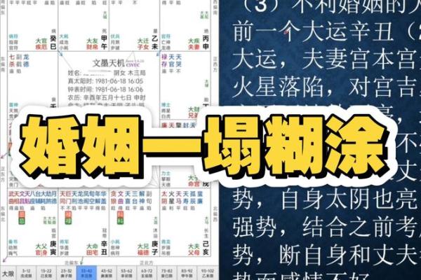 八字婚姻书籍