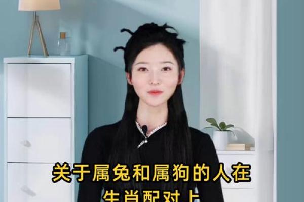 生肖兔和兔的配对是否适合