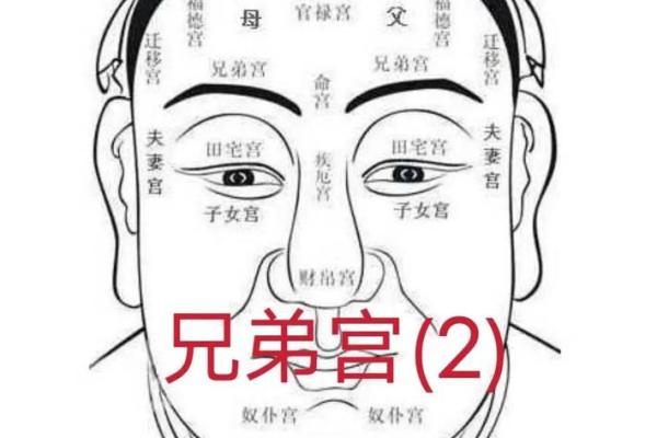 耳朵高于眉毛的人 面相算命