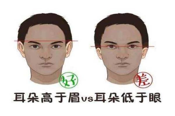 耳朵高于眉毛的人 面相算命