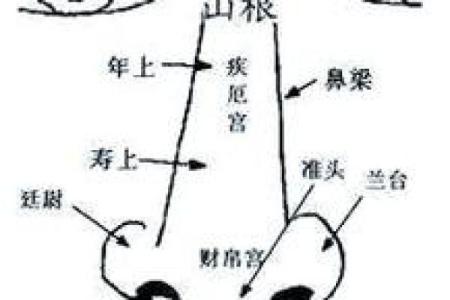 面相算命入门什么是三停 面相基础知识