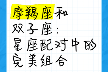 最佳星座搭配：完美的朋友组合