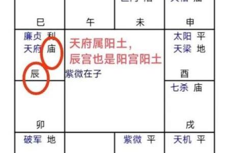 紫薇命盘免费算命